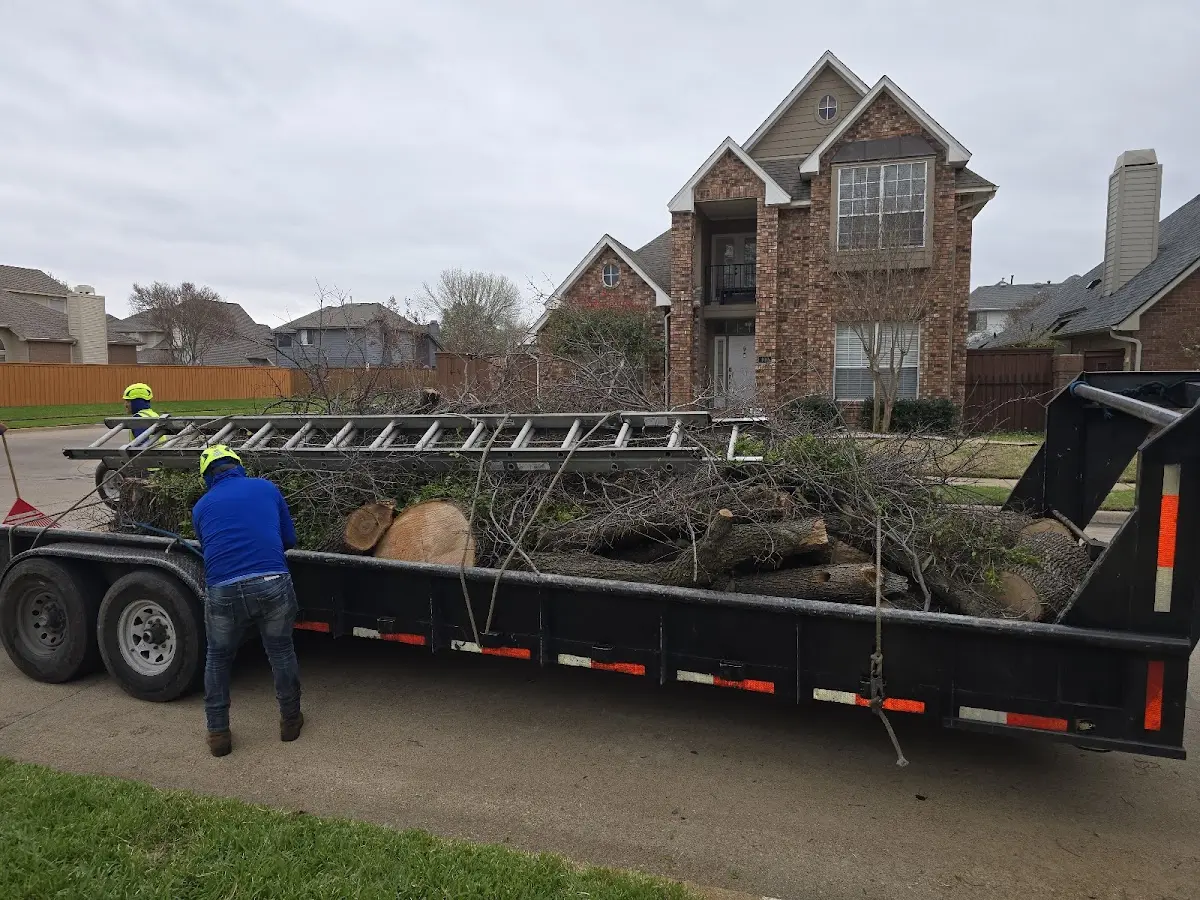 Expert Crown Reduction with proper safety equipment in Sandyville